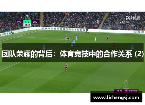 团队荣耀的背后：体育竞技中的合作关系 (2)