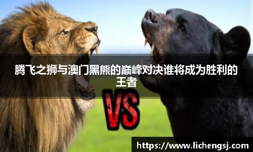 腾飞之狮与澳门黑熊的巅峰对决谁将成为胜利的王者